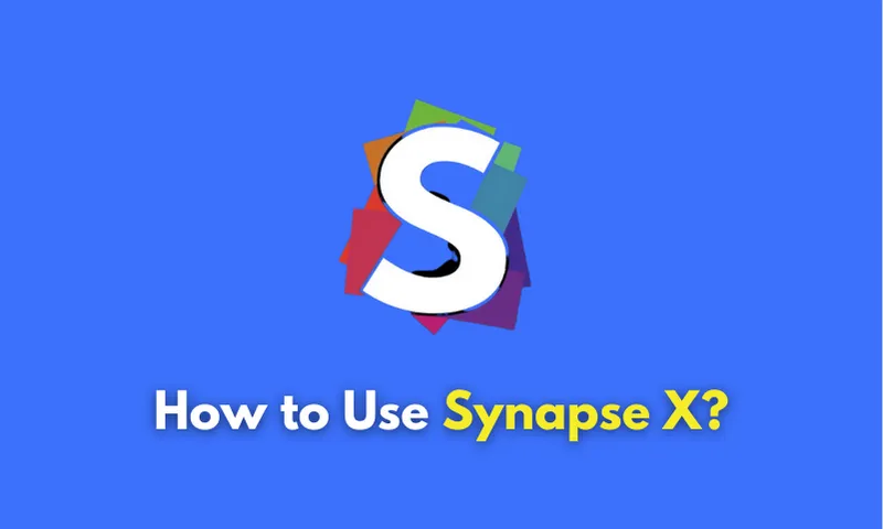 How to Use Synapse X